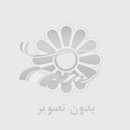 خدمات طراحی سایت و UI/UX؛ نقطه آغاز تحول دیجیتال برند شما